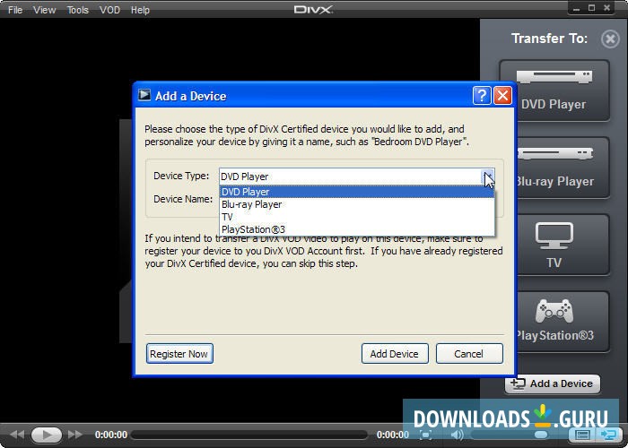 divx video player software