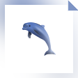 Dolphin Aqua Life Screensaver