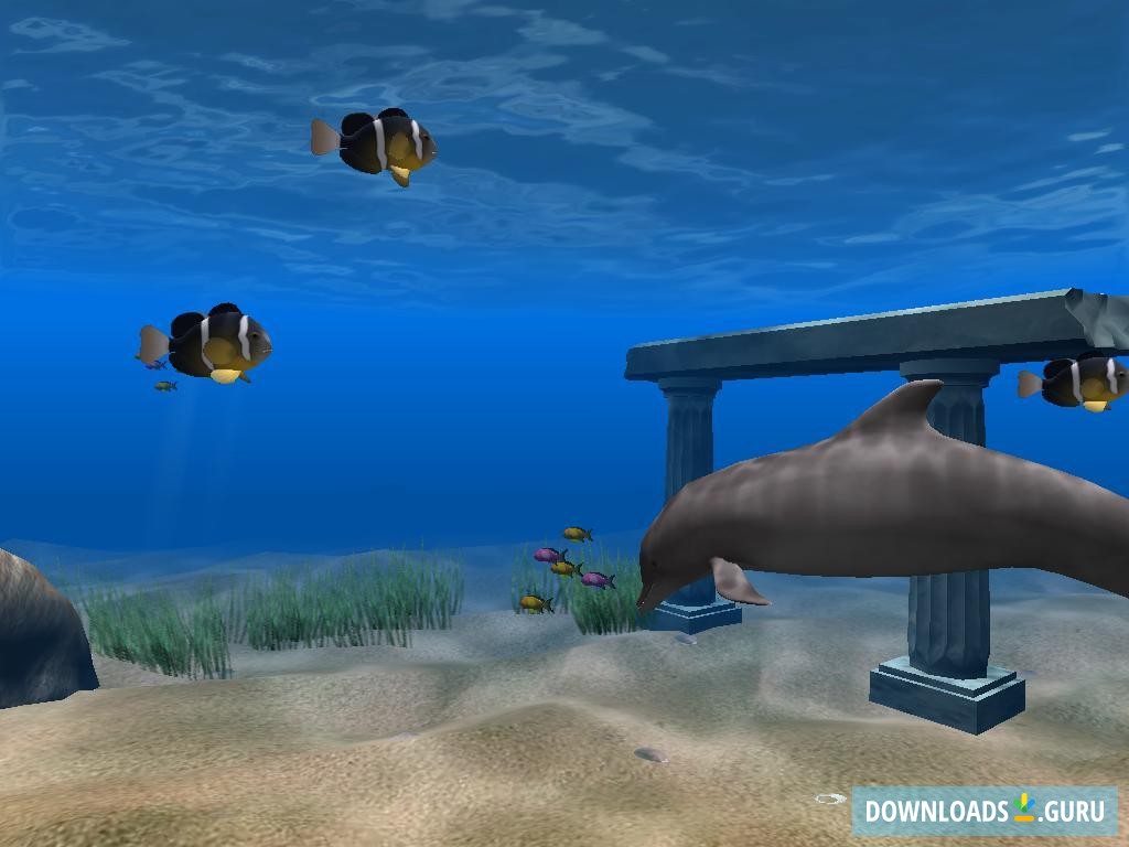 Dolphin Aqua Life Screensaver