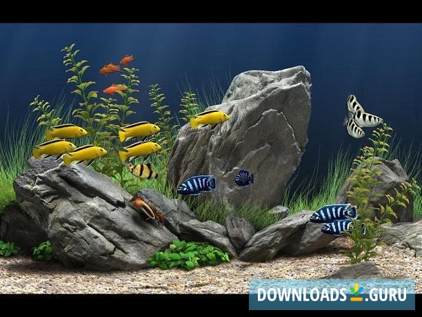 Screensaver Aquarium 3d Windows 7 Image Num 39