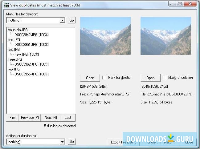 Duplicate Photo Finder 7.15.0.39 downloading