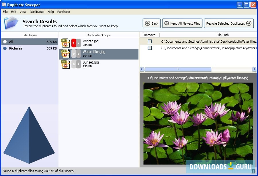 Search Results Window