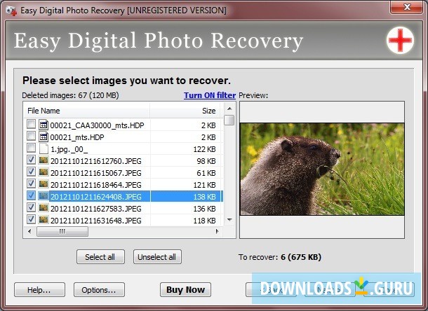 Download Easy Digital Photo Recovery For Windows 11/10/8/7 (Latest ...