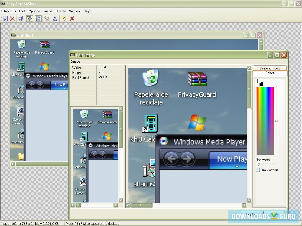simple screenshot windows