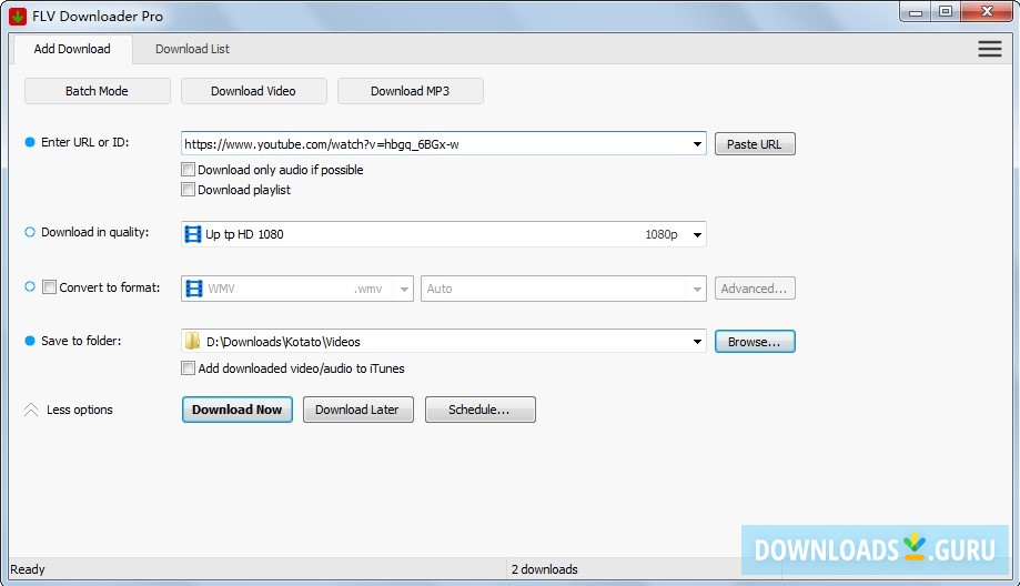 FLV Downloader Pro