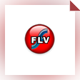FLV to AVI DIVX MP4 MPEG RMVB WMV Converter
