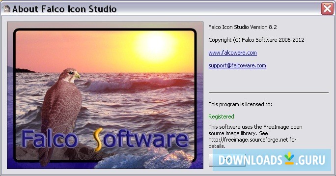 About Falco Icon Studio