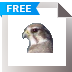 Download Falco Icon Studio
