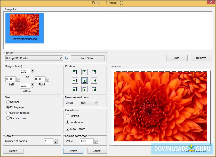 for windows download FastStone Image Viewer 7.8