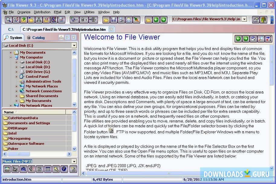 download file viewer