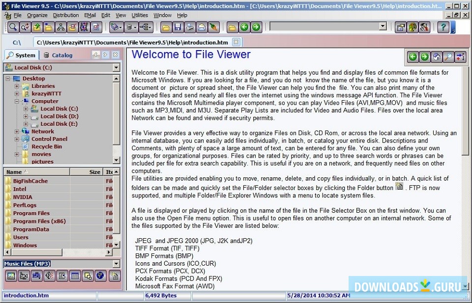 download file viewer