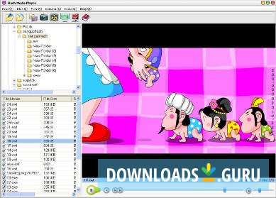 Flash Media Player