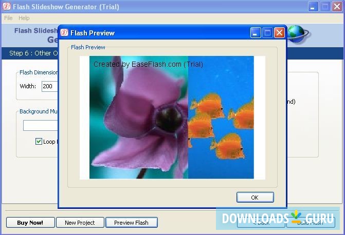 Flash Slideshow Generator