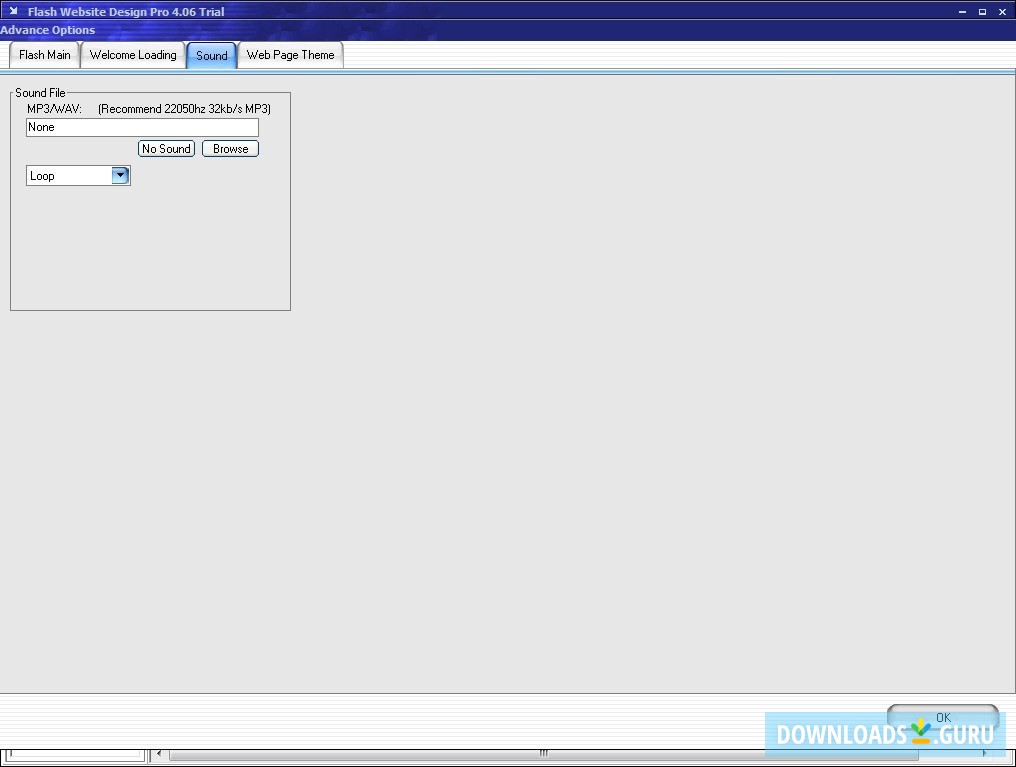 Flash Website Design