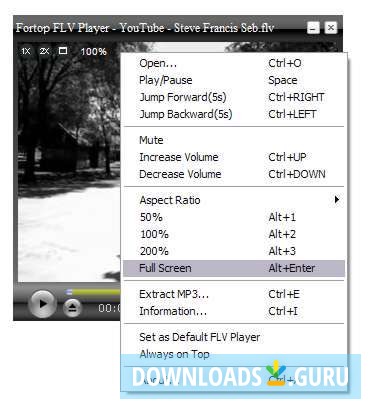 Fortop FLV Player