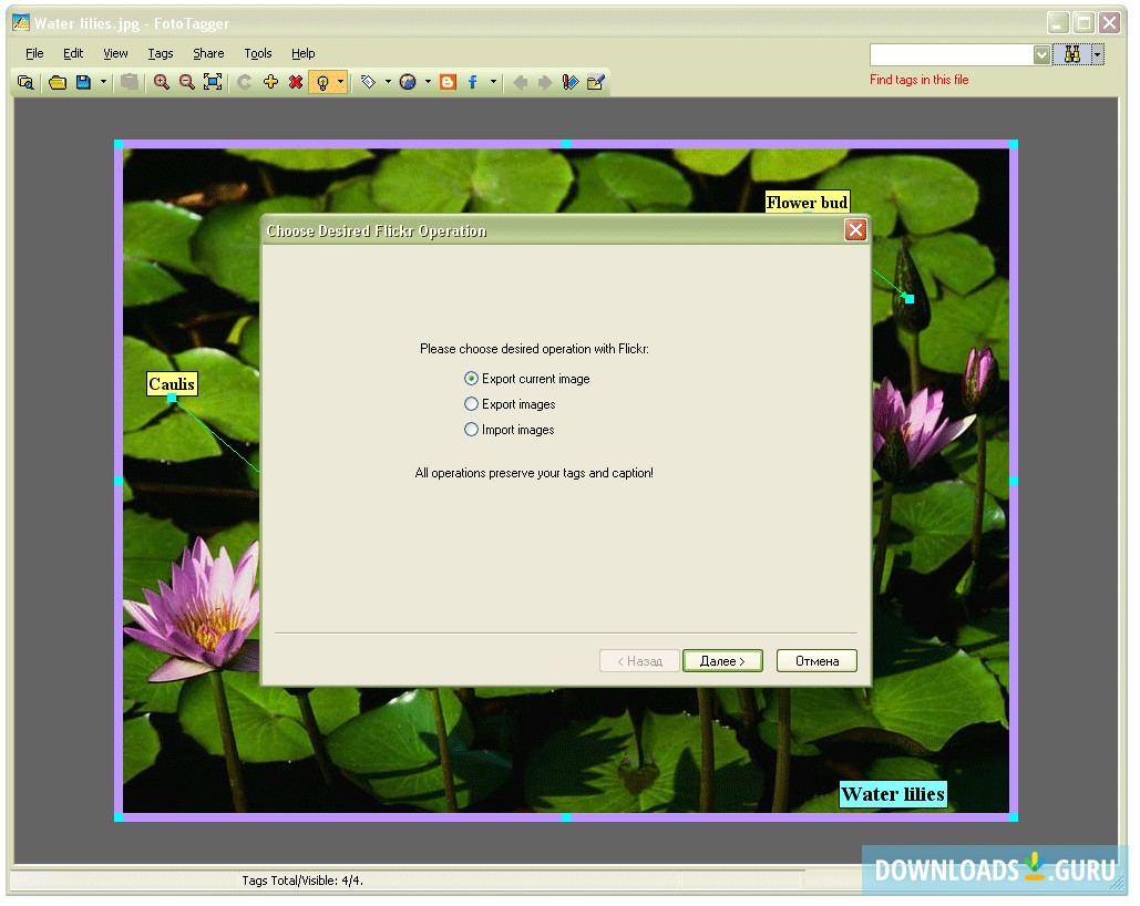 Operations with Flickr