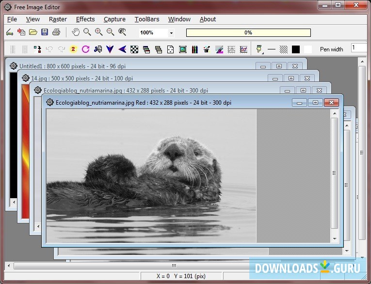 Free Image Editor