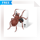 Free Spider Solitaire