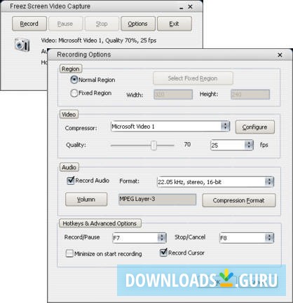 Freez Screen Video Capture