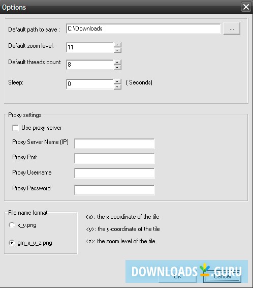 Google Maps Downloader