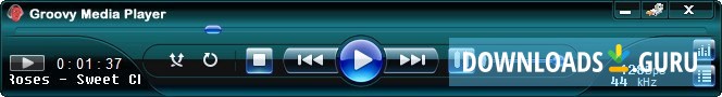 Main Interface