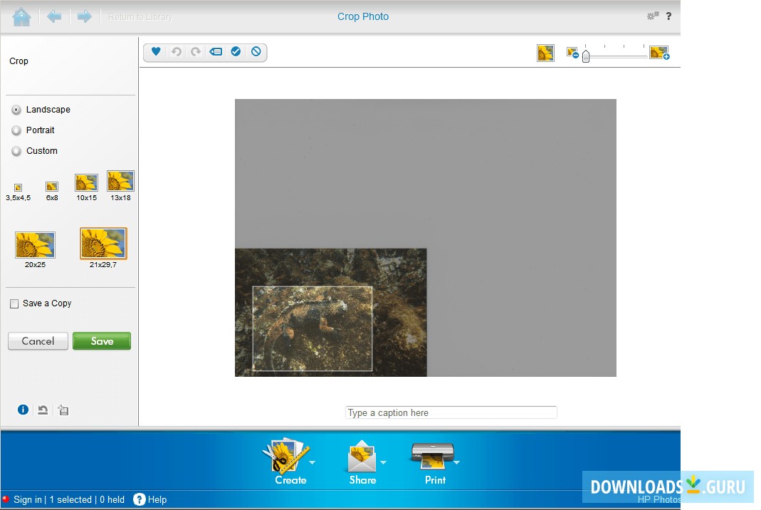 hp photo creations software free download