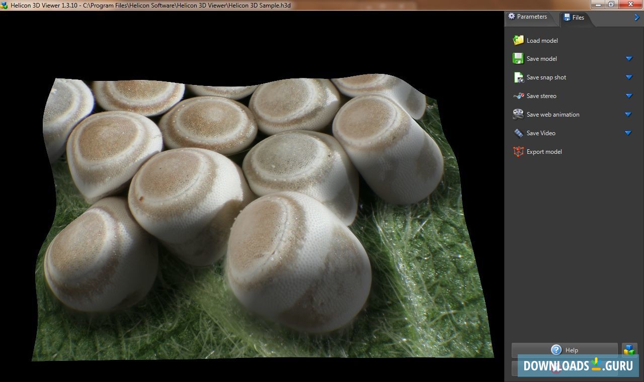 Main Window - Files tab
