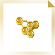 Honeybee