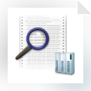 IP To DNS or DNS To IP Batch Converter Software