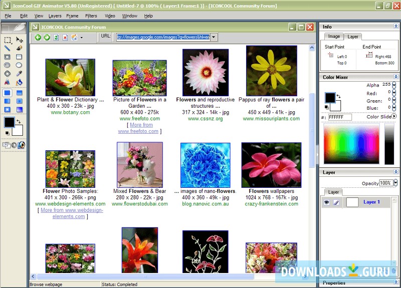 IconCool GIF Animator