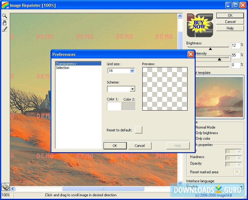 ImageSkill Image Repainter Demo