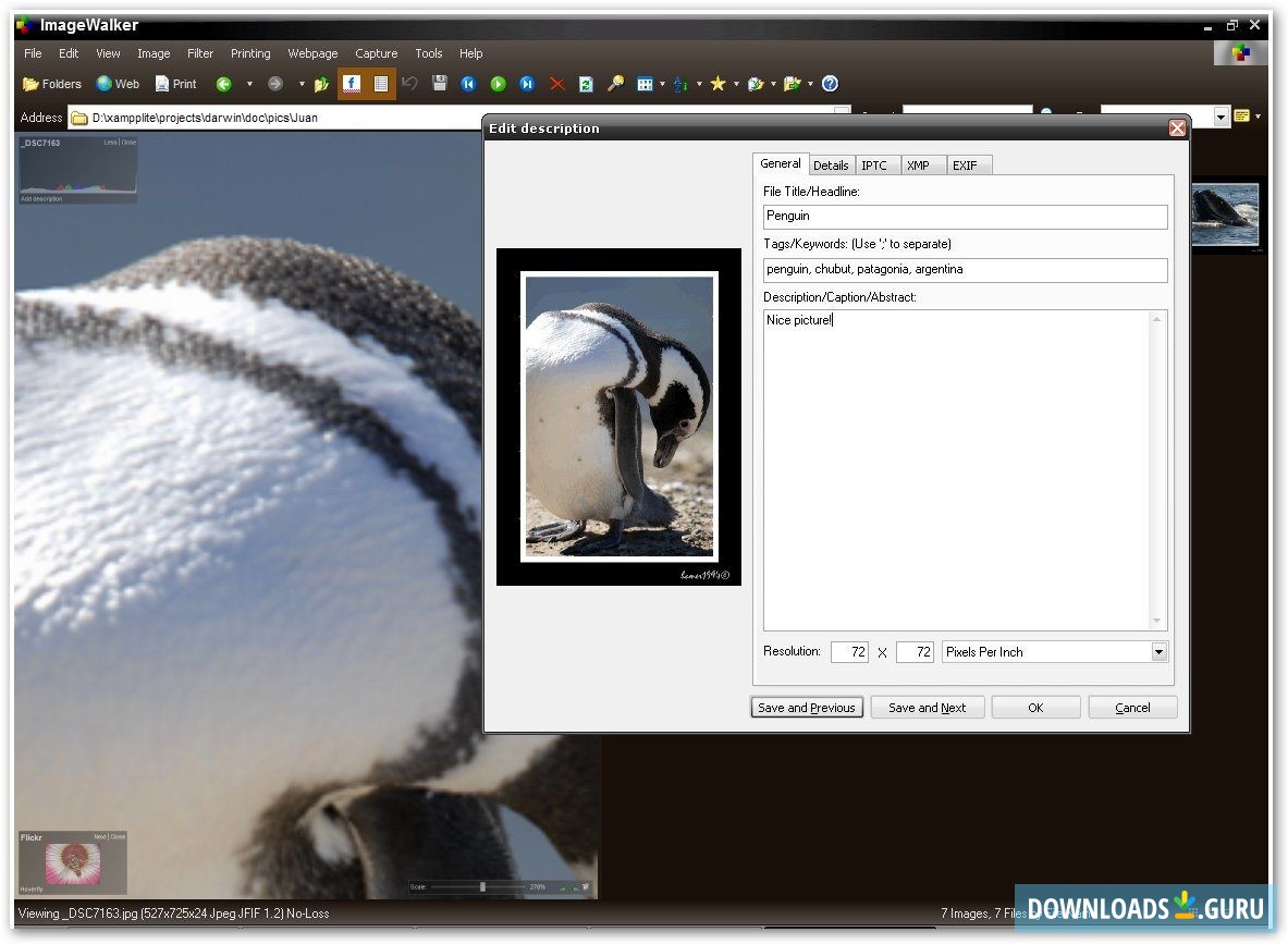 Adding an image description