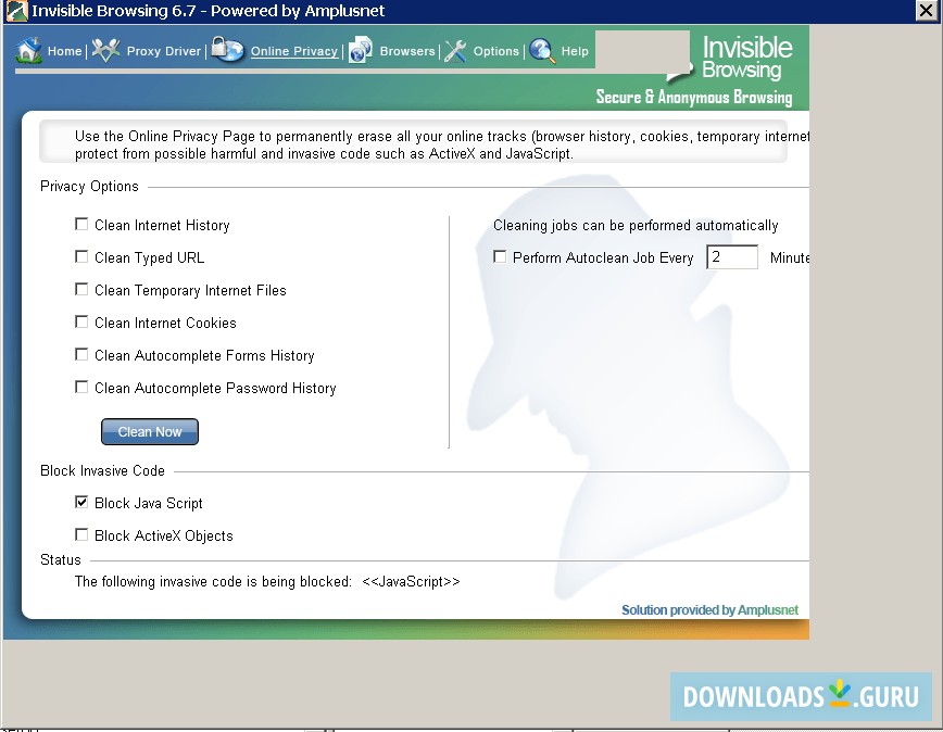 Online privacy window