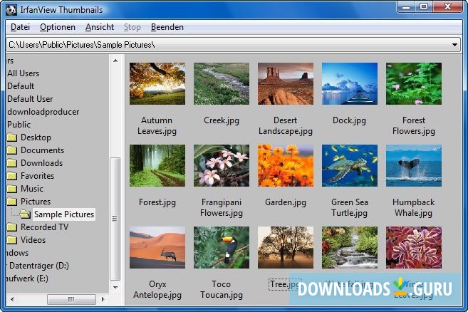 IrfanView Portable download the last version for windows