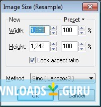 Image Resize Window
