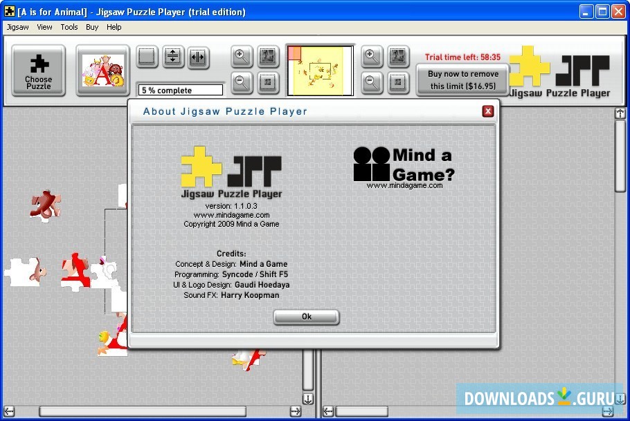 Jigsaw Puzzle Player