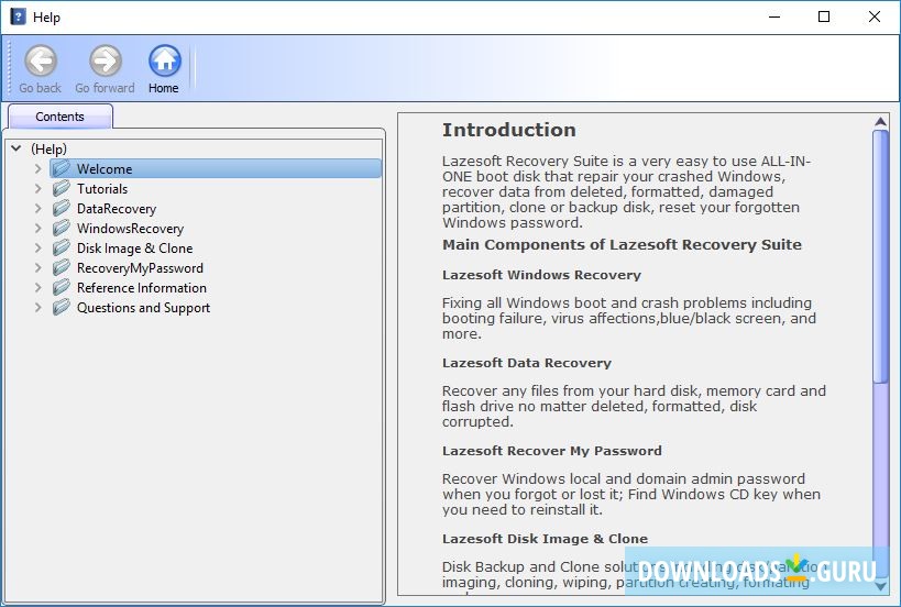 Lazesoft Recovery Suite Professional Edition