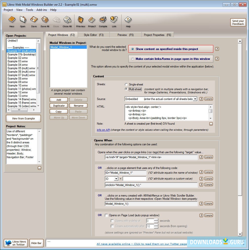 Project Window