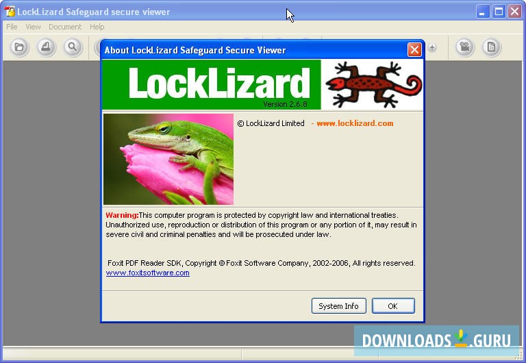 Lizard Safeguard Secure PDF Viewer