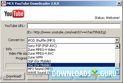 MCS YouTube Converter