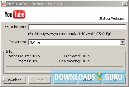 MCS YouTube Converter