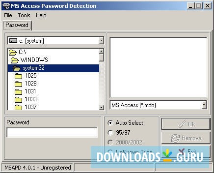 MS Access Password Detection