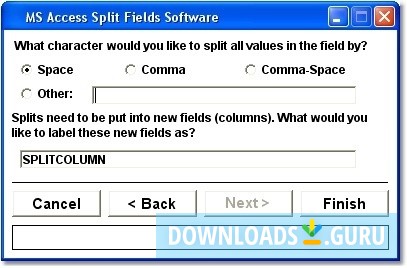 MS Access Split Fields Software