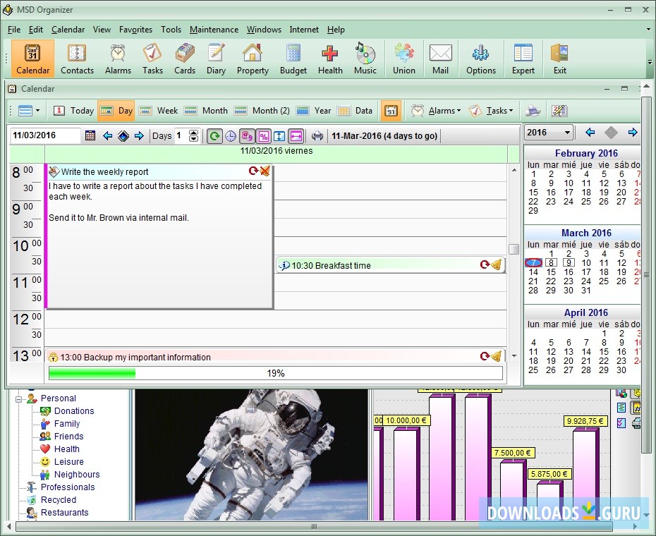 MSD Organizer Freeware