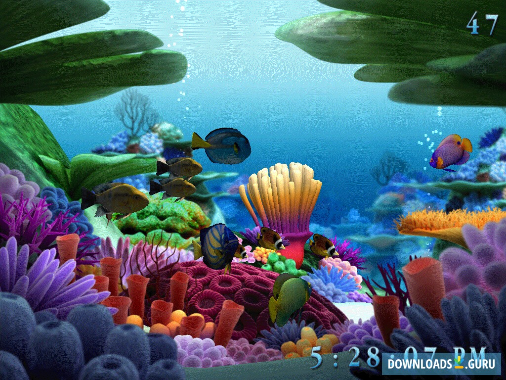 marine life aquarium 3d screensaver free download