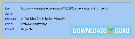 Video information window.