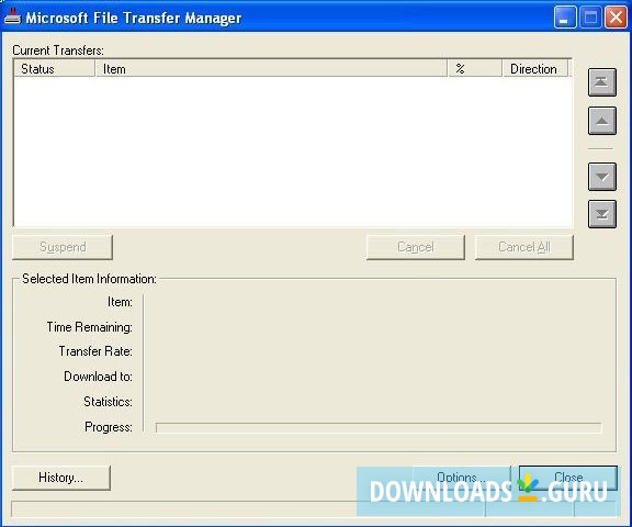 Microsoft File Transfer Manager