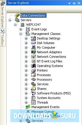 Microsoft Internet Explorer WebControls