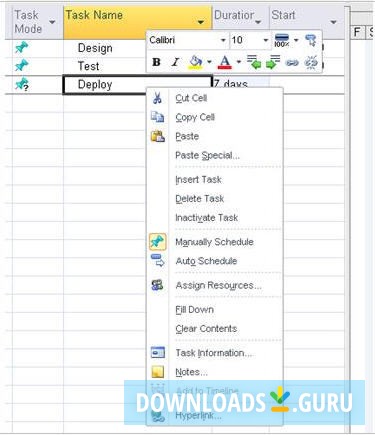 Microsoft Office Project
