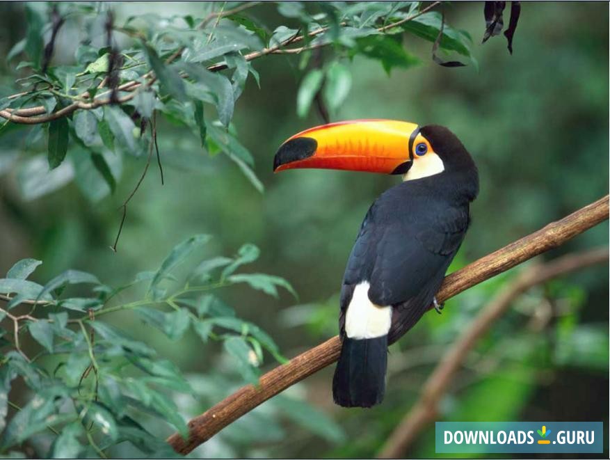 Power Point Presentation